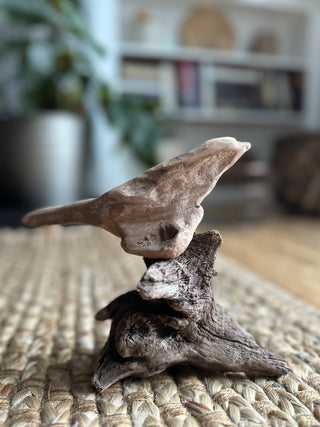 Driftwood Song Bird