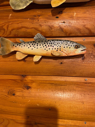 Brown Trout - 10 Inch