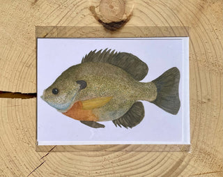 Sunfish Watercolor Print Card