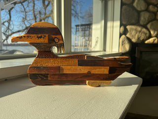 wood duck
