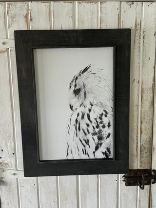 Owl-white