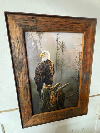 Eagle (LG)