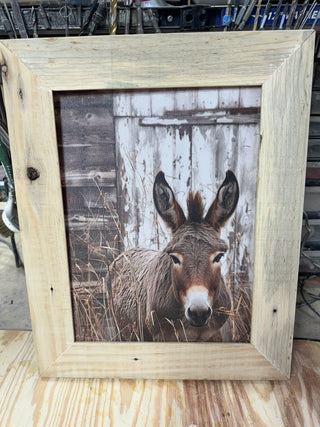Donkey (LG)