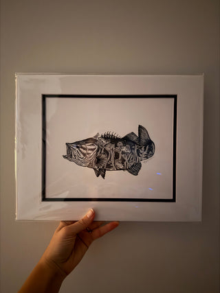 11 x 14 Bass