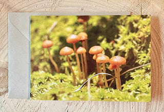 Moss and Fungi Photo Card