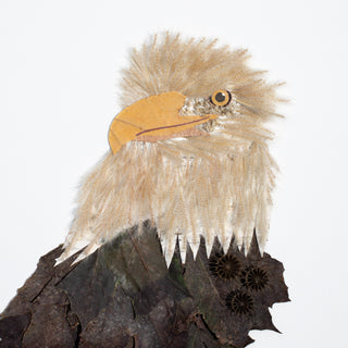 Eagle nature art print