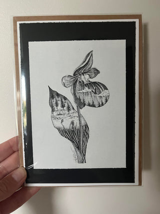 Lady Slipper 5x7 card