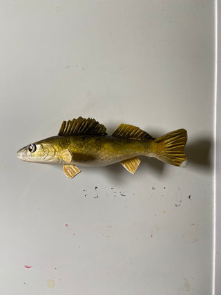 Walleye Magnet