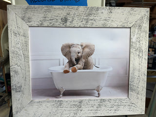 Elephant Print