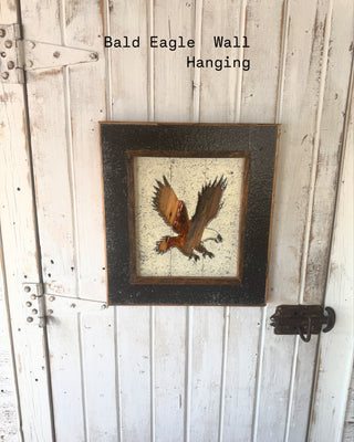Bald Eagle Hanging