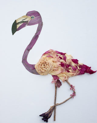 Franny the flamingo nature art print