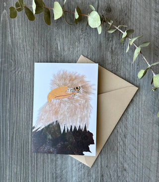 Eagle nature art card