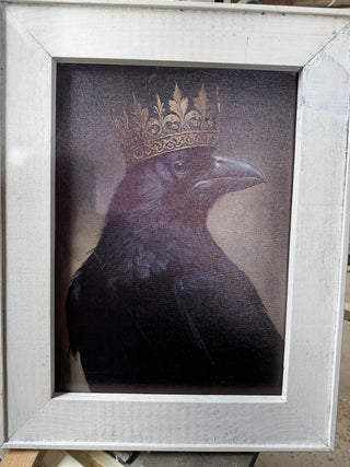 Crow with crown-medium