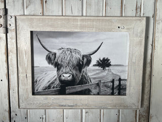 steer Print