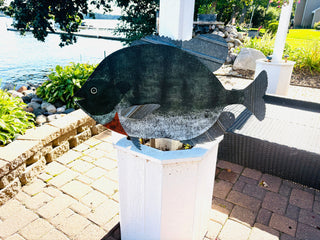 Sunfish colors (MD)